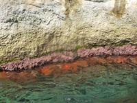 Insel Capri (Inselrundfahrt mit dem Schiff)
