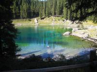 Blick vom Wald auf den Karersee 
