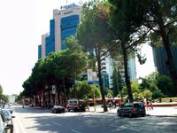 Tirana