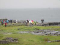 An der Küste des Burren