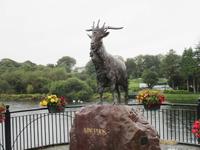 King Phuk in Kilorglin