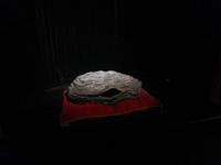 Auch diese Auster pfeift nach einem Guinnes