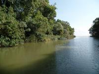 Mündung des Kamtschia