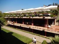 Mittagessen im Real Scampis