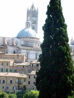 Siena, Dom