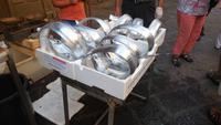 aufgerollte Aale auf dem Fischmarkt in Catania