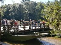 Fähre über die Mur