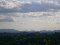 Weinstraße Jeruzalem