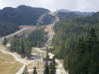 Berg Vogel