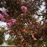 097 Impressionen