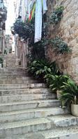 Bepflanzte Gassen in Dubrovnik