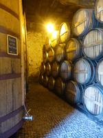 Tag 8_Ausflug entlang der Weinroute (5)