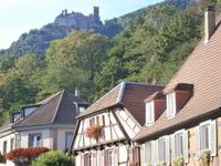 Eine von drei hoch über Ribeauville thronenden Burgruinen