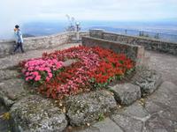 Weiterer Blumenschmuck, im Hintergrund, die Rheinebene mit dem Schwarzwald