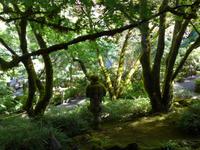 Japanischer Garten