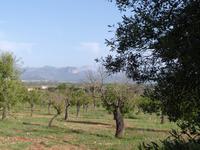 Mallorca