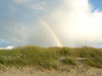 Regenbogen am Darß