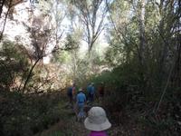 Wanderung durch die Gomeda und Üzgeni Täler