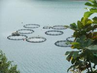 Forellenzuchtanlagen