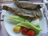 Die Forellen haben wir uns schmecken lassen