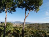 Toskana-Besuch Bauernhof