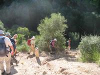 Wanderung von Son Bou nach Es Canutells