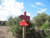 Wanderung von Son Bou nach Es Canutells