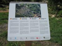 Wanderung von Son Bou nach Es Canutells