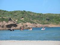 Wanderung im Naturpark S’Albufera von Favaritx nach Es Grau 