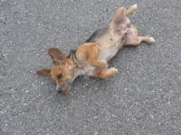 Italien, Sizilien, Santa Tecla