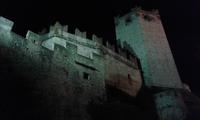 Castello Scarligero.