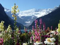 OK ! letztes Lake Louise Bild !