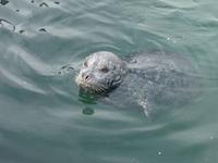 ich hab noch keinen bekommen !