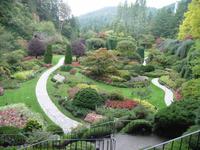 der versunkene Garten