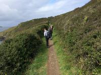 Port Isaac - Port Quin