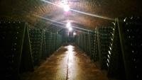 Weingut St. Martin, Remich