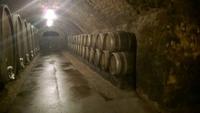 Weingut St. Martin, Remich