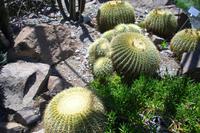 Gärten von Schloss Trauttmansdorff