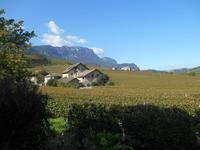 Südtiroler Weinstraße (bei Kaltern)