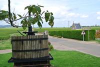 Wein-Fahrt 
