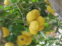 ... liegt überall in der Luft