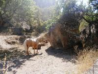 Ihlara Tal Wanderung