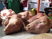 Almaty - Gruener Markt