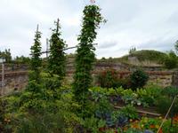 Festung Ehrenbreitstein