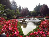 Butchards Garden Anlage