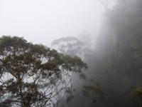 Blue Mountains
