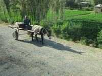 auf dem Weg nach Samarkand