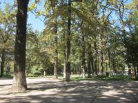 Bishkek - im Eichelpark