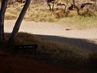 Wanderung Simpson Gap 