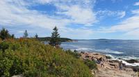 Acadia Nationalpark - Felsküste